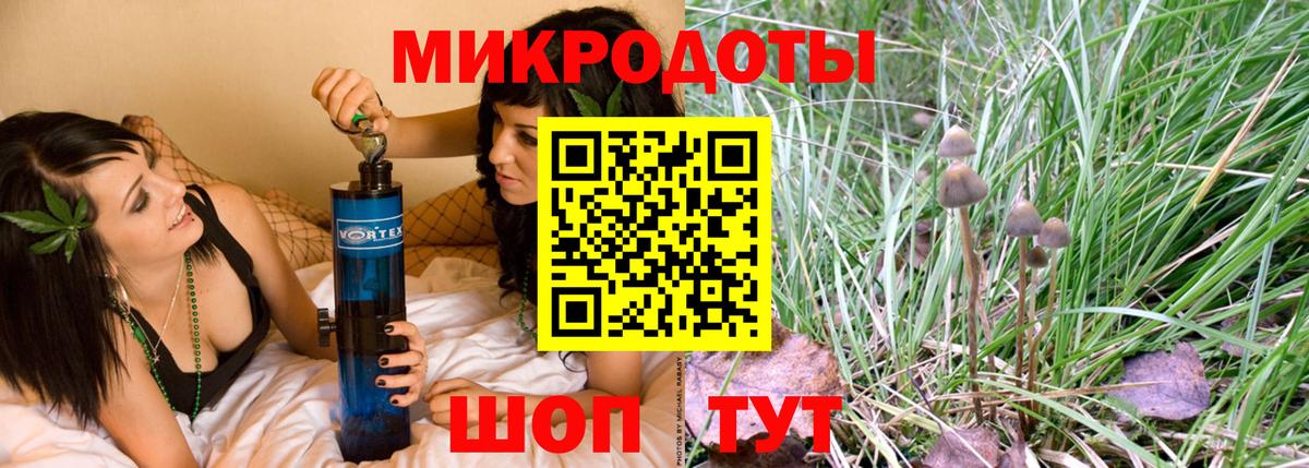 Псилоцибиновые грибы Cubensis  Вход с VPN  Выборг 